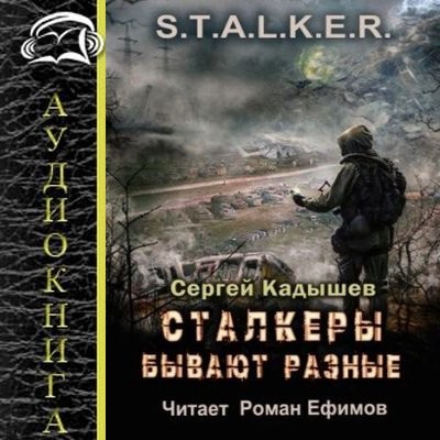 Сергей Кадышев - S.T.A.L.K.E.R.: Сталкеры бывают разные (2024) МР3