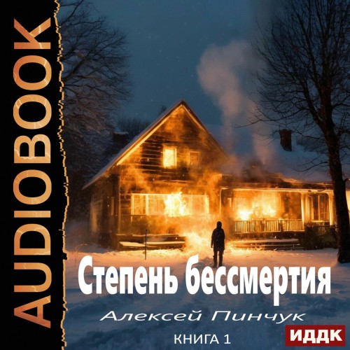 Алексей Пинчук - Степень бессмертия. Книга 1 (2025) МР3